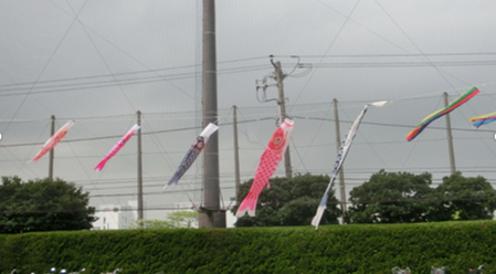 koinobori.png